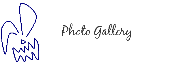 Photo Gallery